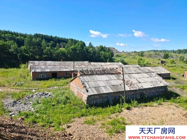 東山有水有電，適合搞養殖