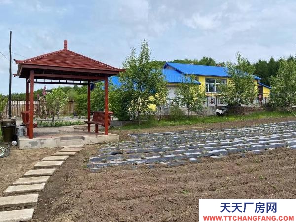 東山疏園鄉老頭溝 可養殖 1000平米建房