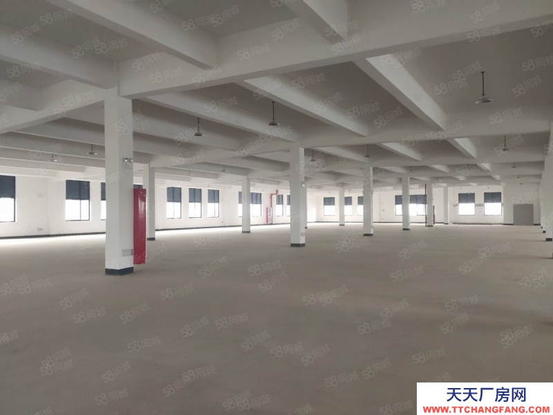 衢州市龍游(出售) 全新標準廠房適合輕加工企業(yè)進駐