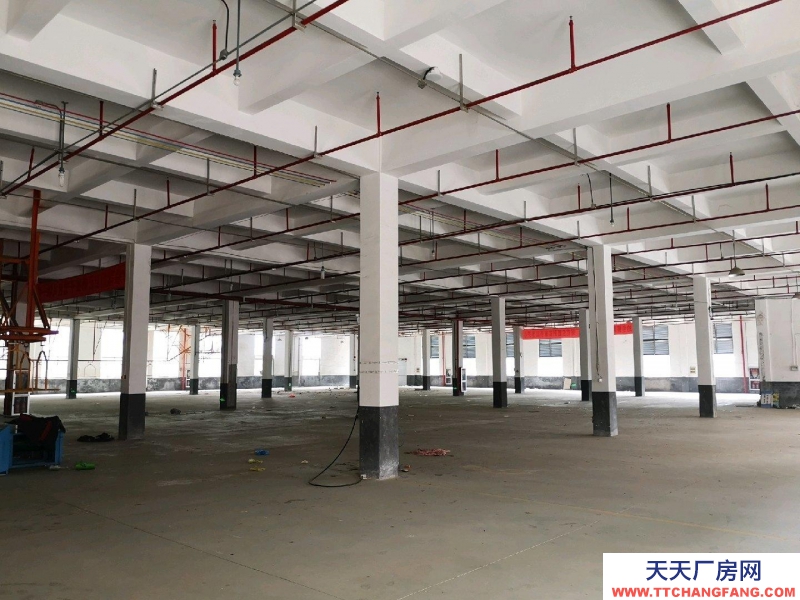 衢州市江山(出租) 交通便利，性價比高，適合倉儲辦公   食用油、油脂及其制品