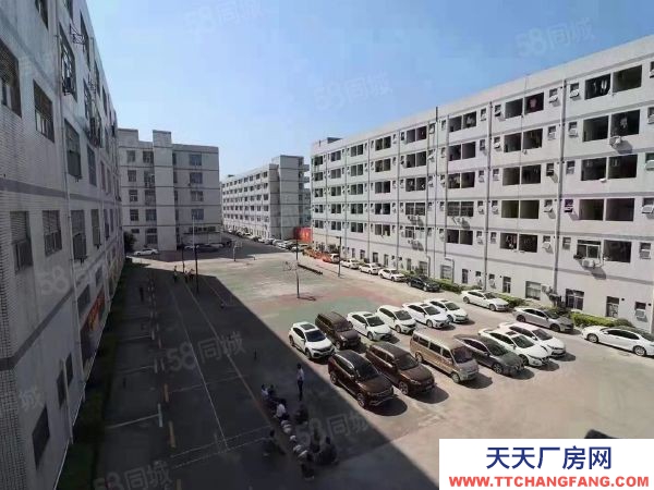 福州市福清餅干廠房 福清漁溪多棟多層廠房50000可分割出租需要福清各種廠房聯系