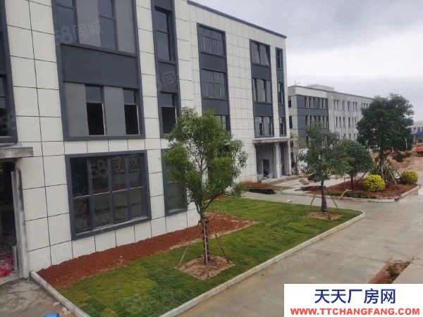 福州市福清糖果廠房 福清全新廠房招商 歡迎來電咨詢