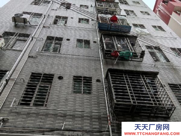 福州市福清物資倉庫 大平層，臨街，電動門交通方便