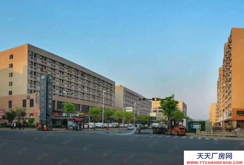 衢州市江山(出售) 總高2層獨棟廠房，沒有債務糾紛，獨立產權，可做環評  五金加工 機械制造