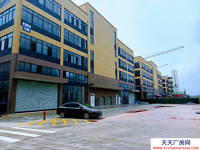 衢州市江山(出售) 首付3成，可做按揭，全新廠房，總高2層獨棟，一層8.1米   廣告類、印刷類