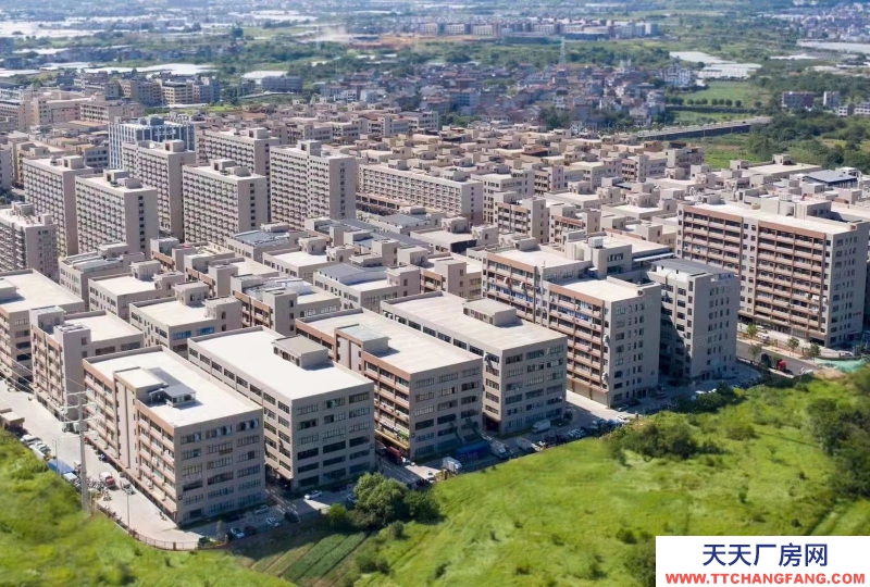 衢州市江山(出售) 首付3成，可做按揭，全新廠房，總高2層獨棟，一層8.1米   廣告類、印刷類