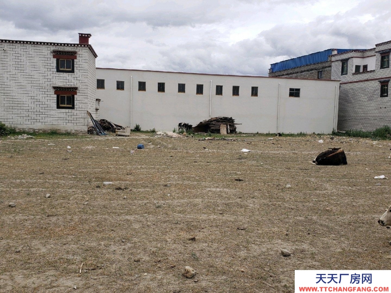 (出租) 拉薩堆龍德慶新建材市場斜對面 倉庫 6500平米建材倉庫