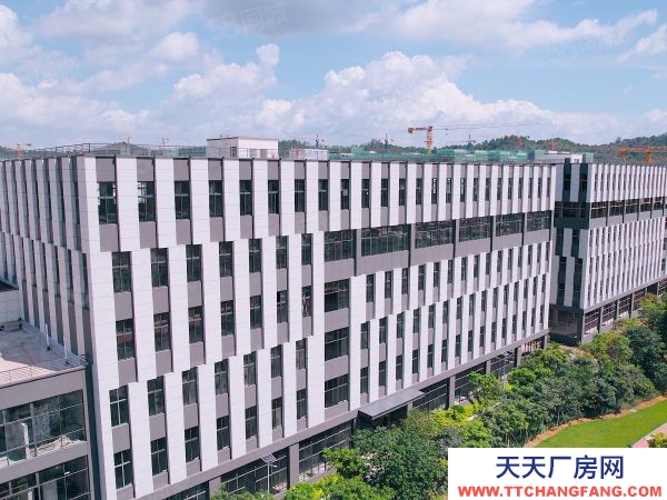 福州市長樂機加工廠房 天津大學對面 長樂500方起生產廠房 有獨棟 50年產權