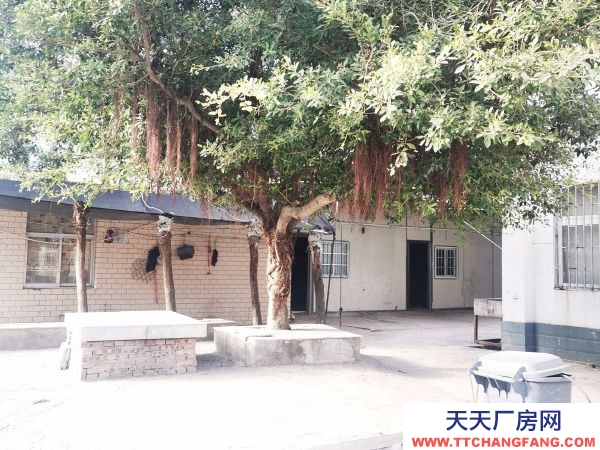 福州市長樂物資倉庫 出租長樂金山空港工業集中區標準廠房,帶有污水處理,可環評!