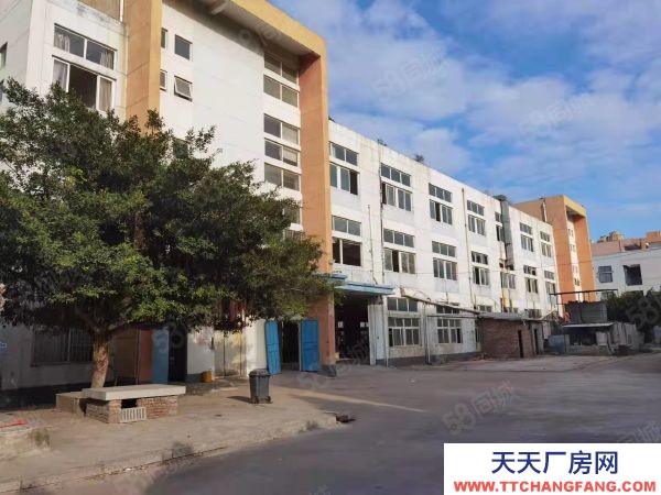 福州市長樂物資倉庫 個人出租 長樂 標(biāo)準(zhǔn)廠房,有污水處理,可環(huán)評!