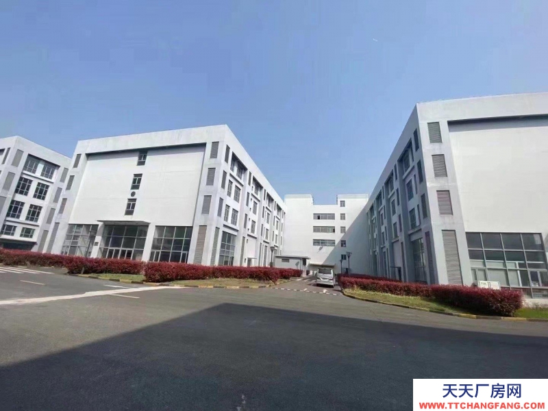 舟山市普陀(出租) 園區直租小面積廠房500平起可環評有政策扶持  豆制品