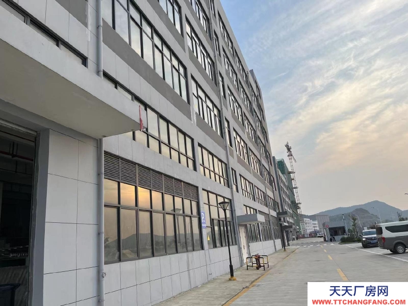 舟山市普陀(出租) 符合定位的企業，高可減免3年租金    糕點