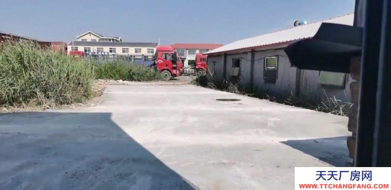 滄州 滄縣 (出租) 滄州東外環(huán)經(jīng)八路旁邊