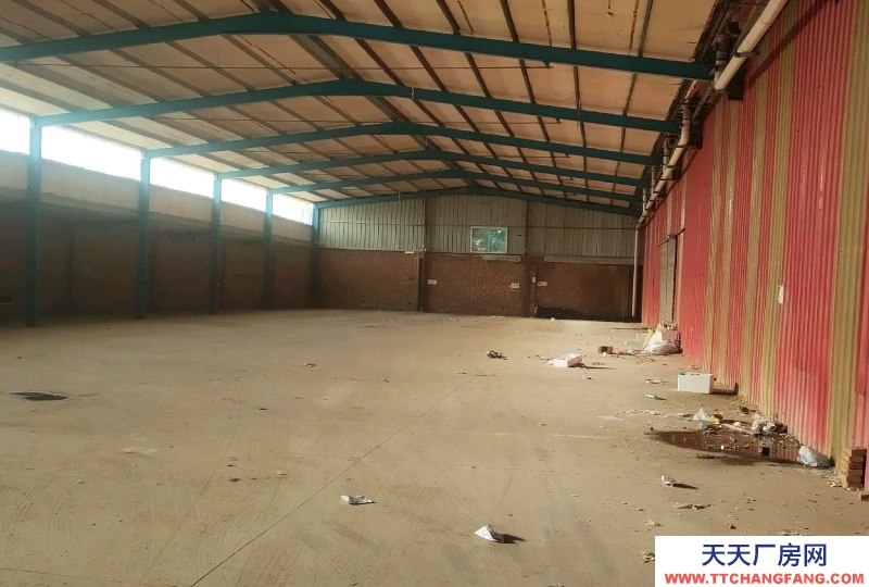 滄州 滄縣 (出租) 307道邊道好走水電齊全