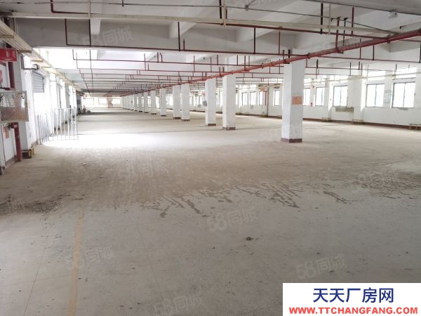 福州市馬尾碳酸飲料廠房 馬尾中心位置，房東直租，標(biāo)準(zhǔn)廠房