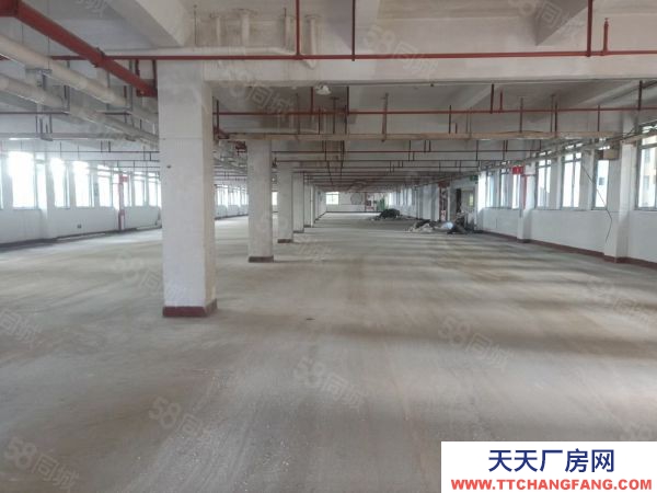 福州市馬尾機(jī)加工廠房 海峽高新雙創(chuàng)產(chǎn)業(yè)園，招商部直租免中介費(fèi)