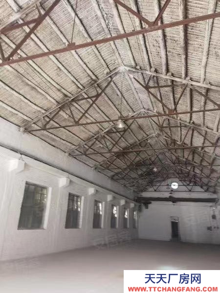 滄州 獻縣 (出租) 獻縣陽光悅城西門500平乳制品廠房出租