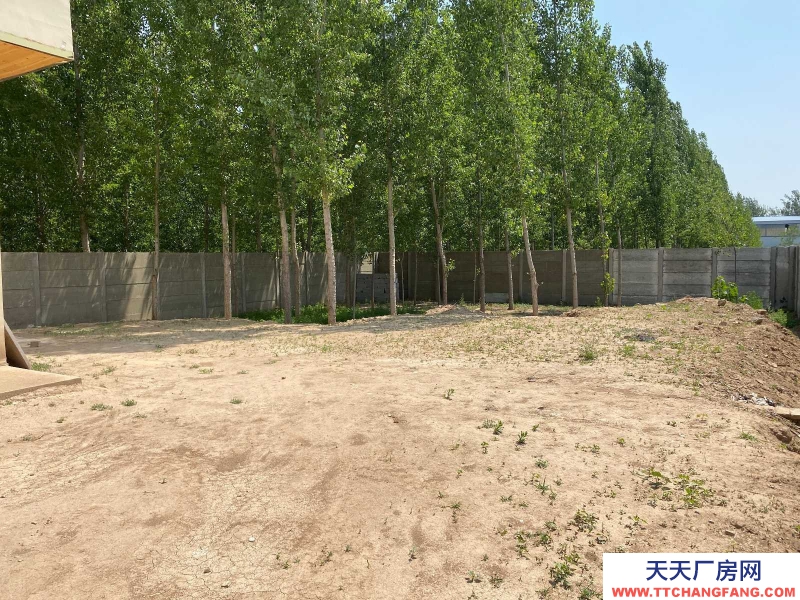 滄州 獻縣 (出租) 獻王路白營西村三層