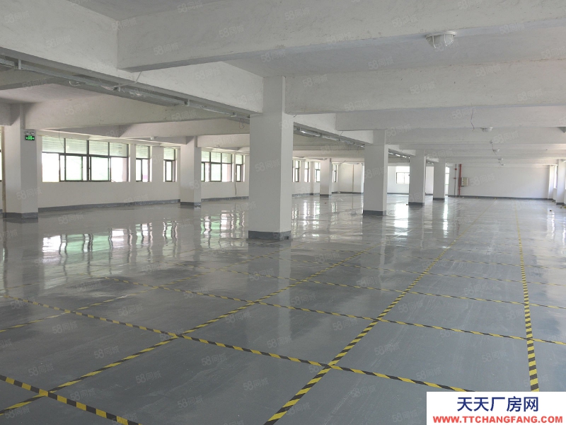 (出租) 廣州白云高標(biāo)7萬方坡道庫,倉庫招租,高速附近,物流園倉庫