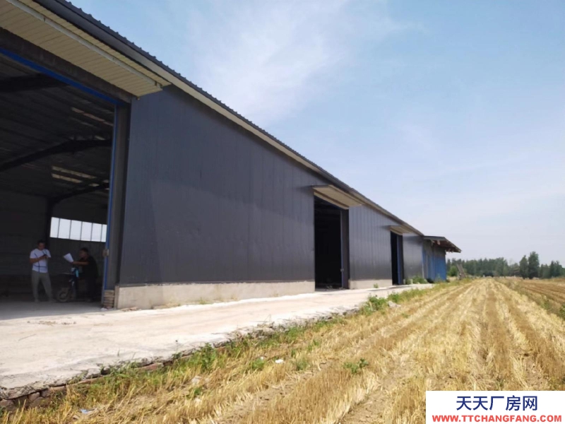 滄州 肅寧(出租) 肅寧3000平米豆制品廠房出租也可分租