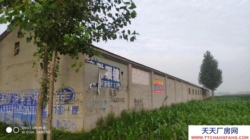 滄州 肅寧(出租) 出租冷加工糕點廠房 非誠勿擾 面議