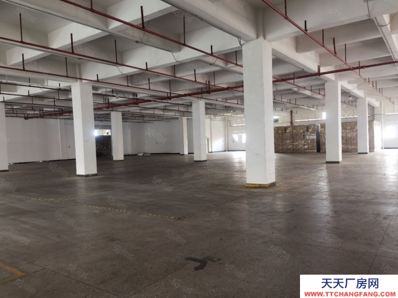 (出租) 廣州花都機(jī)場邊48600方高臺倉可分租證件齊全丙二消防帶噴淋可做物流