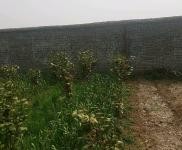 (出租) 駐馬店遂平幸福里西側，交通便利