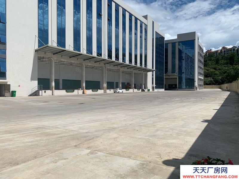 (出租) 廣州花都機場周邊，高速路口，超大空地，適合各行各業物流倉庫