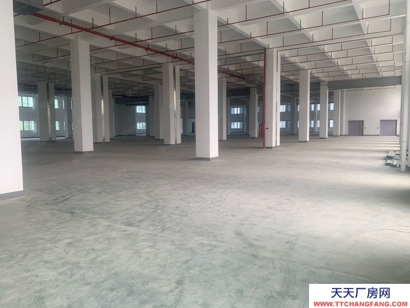 (出租) 廣州花都機場周邊,高速路口,超大空地,適合各行各業物流倉庫