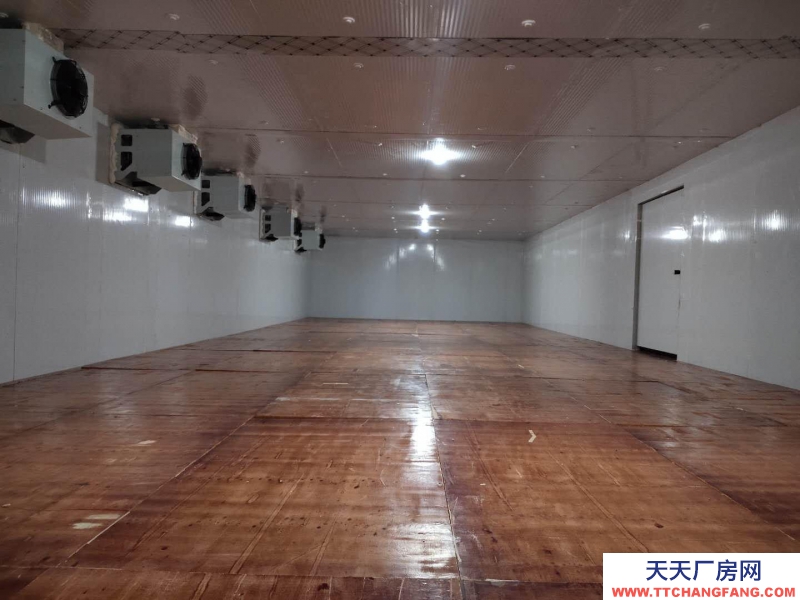 (出租) 廣州市越秀區移動活動冷庫出租賃水果蔬菜醫藥海鮮肉預冷藏運輸速