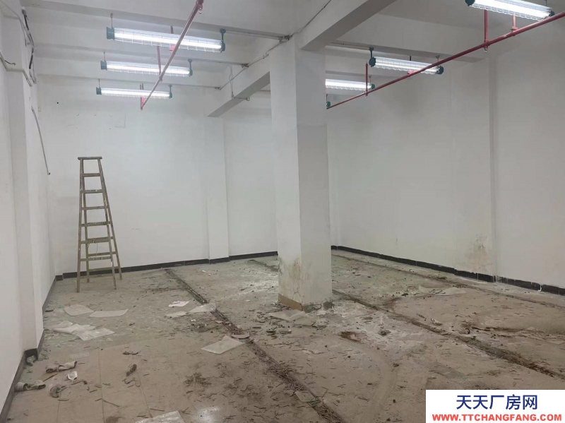 (出租) 廣州越秀東風東路國有資產出租物資倉庫