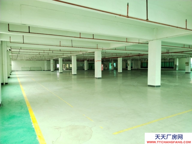 (出租) 廣州增城新塘鎮6000平米電商倉庫招租