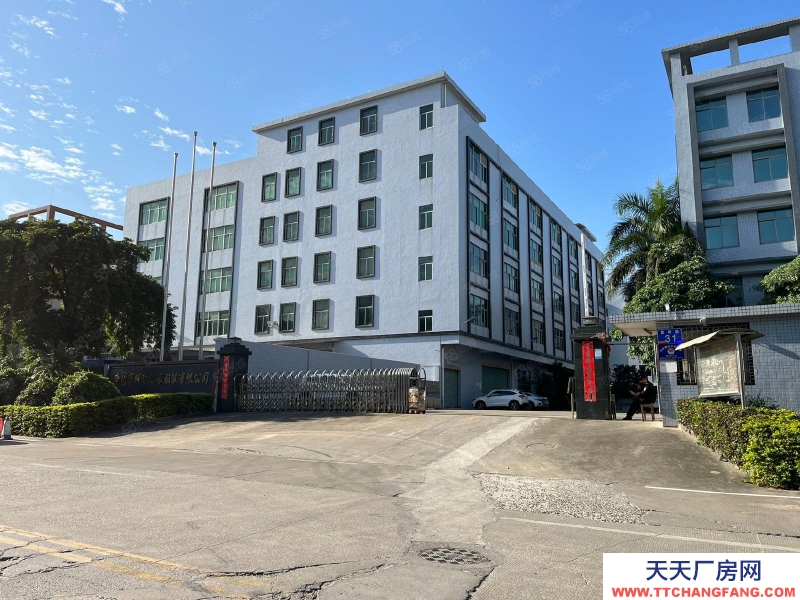 (出租) 廣州增城新塘鎮(zhèn)6000平米電商倉庫招租