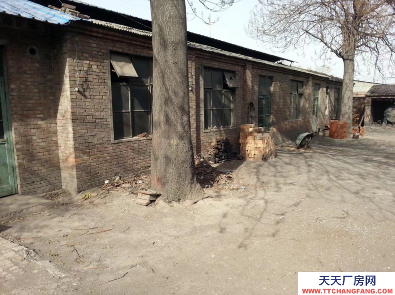 滄州 吳橋(出租) 吳橋縣鐵城鎮糕點廠房出租 倉庫 800平米