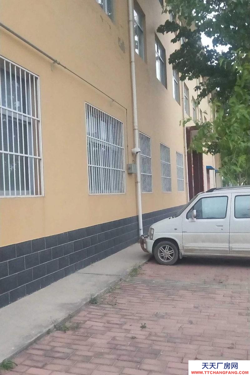 滄州 任丘(出租) 冷凍水產制品廠房 房東誠意直租,價格美麗。