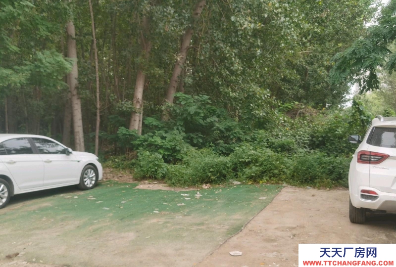 滄州 任丘(出租) 八中附近 可心飯店西側(cè)