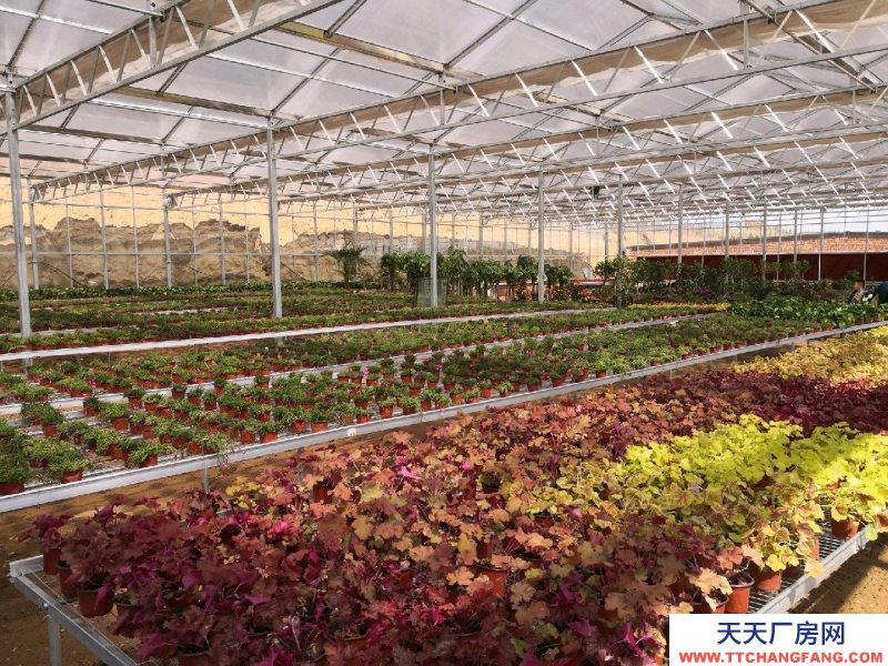 (出售) 鄂爾多斯1000余平米智能日光溫室