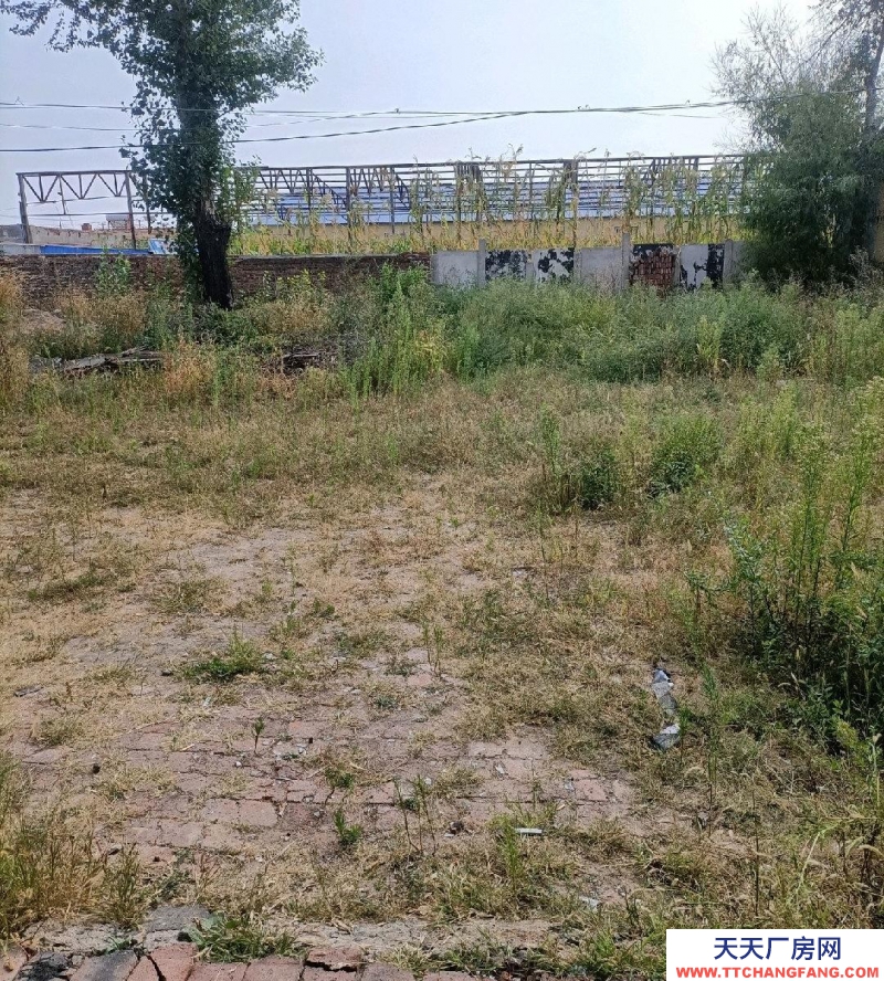 (出租) 兩個廠房 隨意選租 倉儲 有1000平大院獨立大門三相電