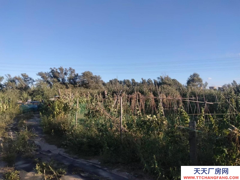 (出租)通遼 3000千平大院出租出售