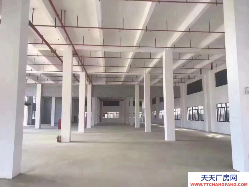 舟山市普陀(出售) 40萬就可以擁有屬于自己的廠房  嬰幼兒配方食品