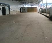 (出租) 漯河郾城本冷庫(kù)位置在淞江路東段魯明石化西隔壁，面積一千零七十平方