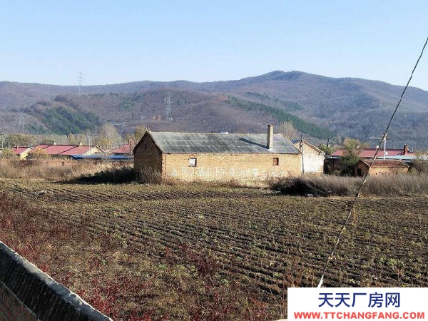 集賢縣雙豐村原廠部大院10000平整體出售