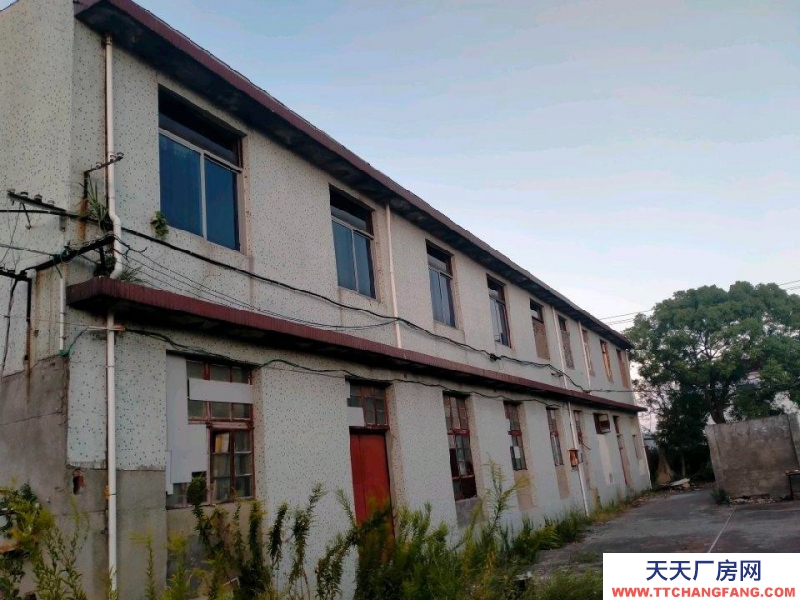 舟山市岱山(出租) 二樓，有水電，衛生間，可以隔單間，也可以做通間  紡織，服裝