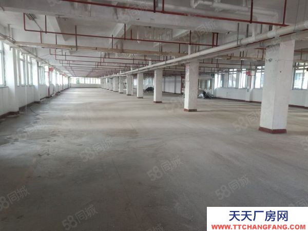 福州市馬尾物資倉庫 房東直租倉庫，馬尾中心位置，交通便利