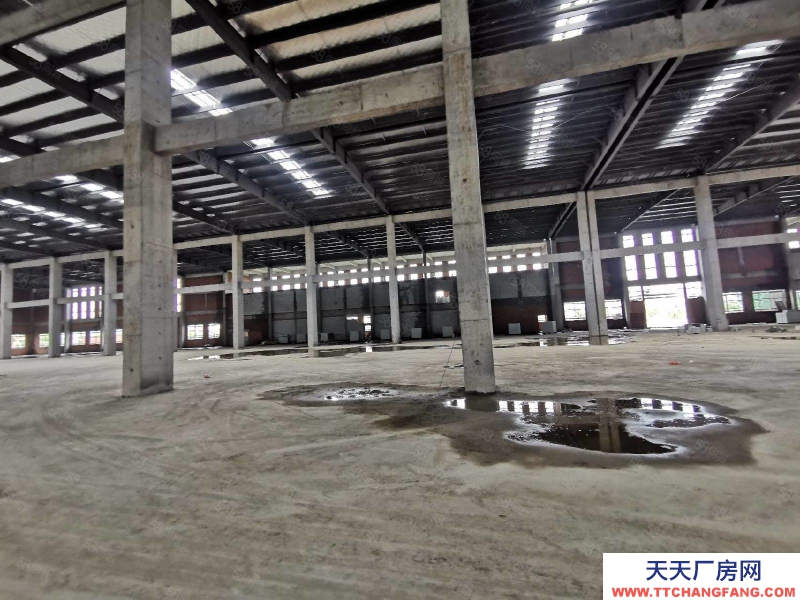 臺(tái)州市椒江(出租) 單門獨(dú)院 出租濱海工業(yè)區(qū)(一樓2000平 高度11米) 餅干