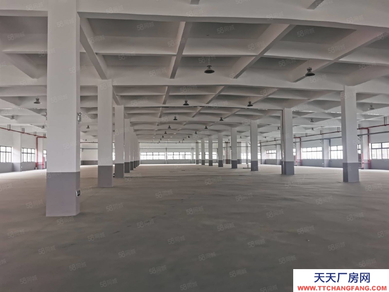 臺州市椒江(出租) 單門獨院出租濱海工業(yè)園區(qū)（一樓1200 平高度7.5米）  蛋制品