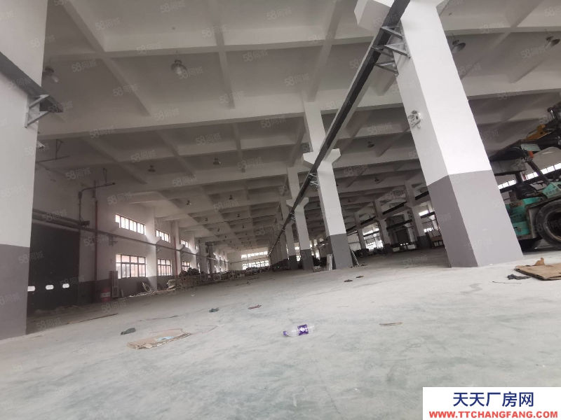 臺(tái)州市椒江(出租) 單門獨(dú)院出租濱海工業(yè)園區(qū)(一樓1200 平高度7.5米) 蛋制品