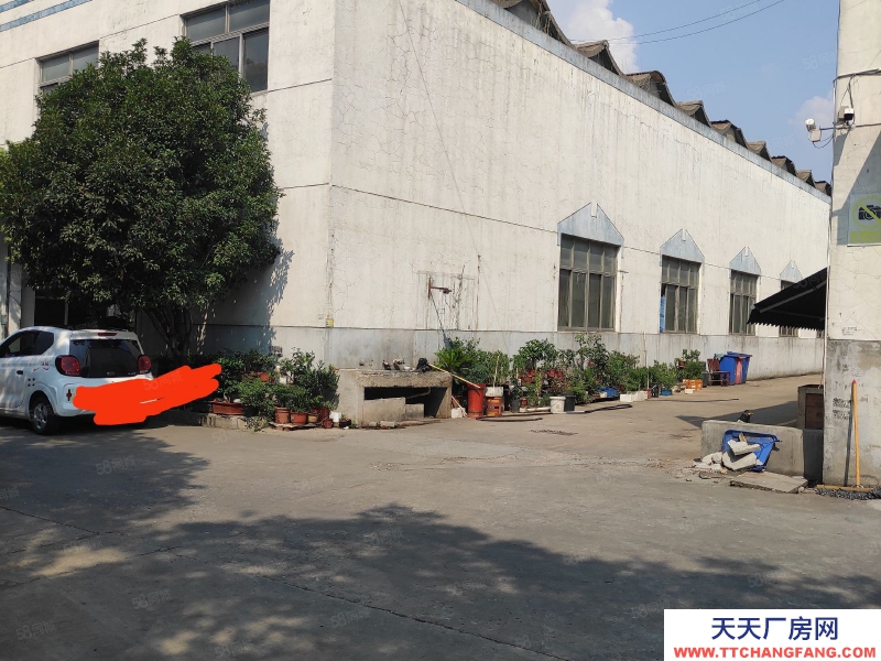 (出租) 常州天寧東青標準廠房1100平米3噸行車適合機械加工