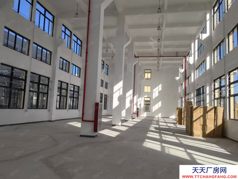 臺州市椒江(出租) 急租精裝修廠房楓南路全新獨棟15層，無行業要求形象好