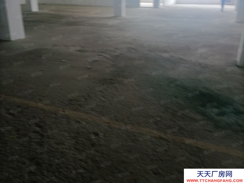 臺州市椒江(出租) 出租洪家倉庫二樓1300平，混泥土結構，可分割，價格便宜